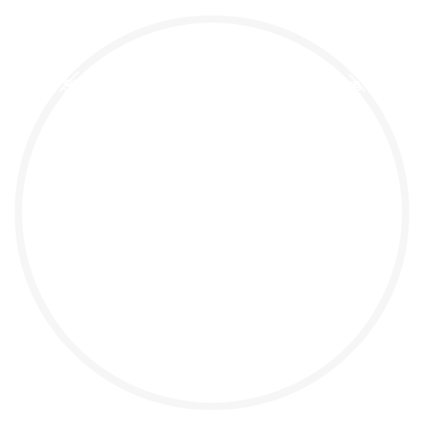 vitruvian man